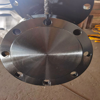Classe D AWWA C207-07 Ring Blind Flange A105N F304 304L F316 316L de la classe B
