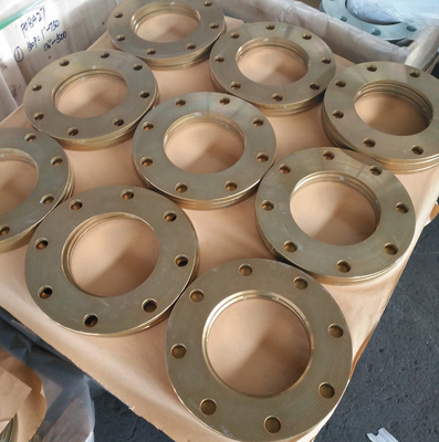 L'acier au carbone du visage plat Pn16 a forgé la bride et les garnitures de tuyau anti huile de rouille