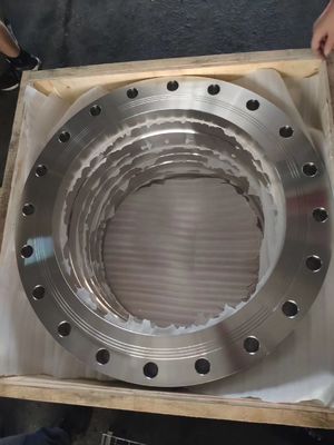 Le CS STANDARD de BRIDE DIN EN1092 solides solubles PN6 à PN63 SE ROUILLENT BRIDE FORGÉE par HUILE de PREUVE